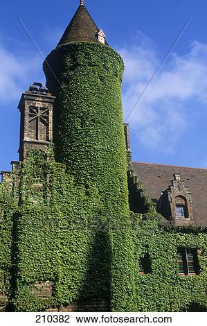 Bruges Belgium Gruuthuse Museum With Ivy Covered Tower  View Large Photo Image Stock Image - Bruges Belgium Gruuthuse Museum With Ivy Covered Tower . Fotosearch