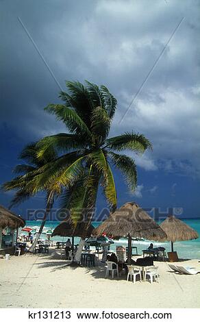 Caribbean Beach Playa De Carmen, Mexico View Large Photo Image Stock Image - Caribbean Beach Playa De Carmen, Mexico. Fotosearch
