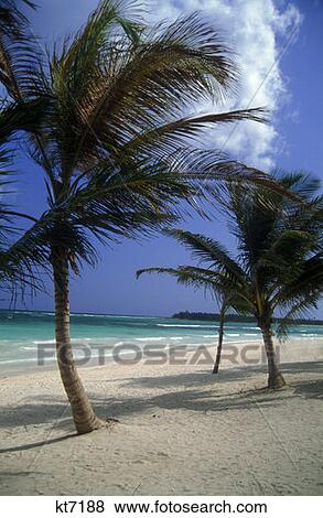 Stock Photo - Caribbean Beach With Palm Trees Riviera Maya, Mexico. Fotosearch