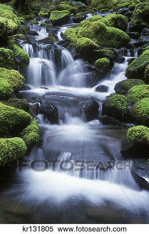 Cascades Waterfall Olympic National Park View Large Photo Image Stock Photography - Cascades Waterfall Olympic National Park . Fotosearch