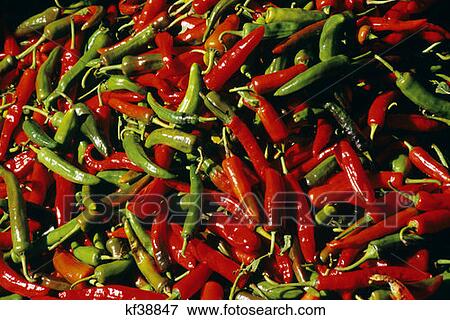 Chile Peppers Bhutan View Large Photo Image Stock Photo - Chile Peppers Bhutan . Fotosearch