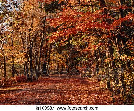 Chocorua Nh Autumn Road View Large Photo Image Stock Photo - Chocorua Nh Autumn Road. Fotosearch