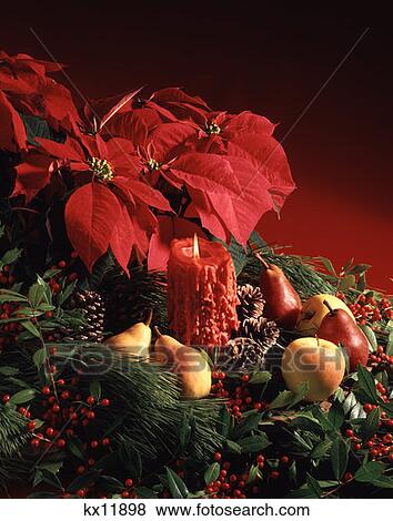 Stock Photo - Christmas Candle Poinsettia Fruit And Greens . Fotosearch
