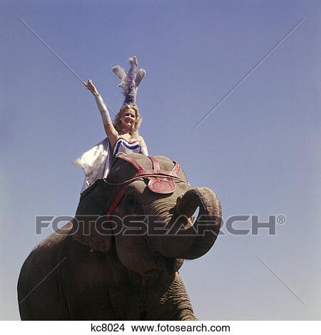 Circus Elephant Woman 1977 1970S View Large Photo Image Picture - Circus Elephant Woman 1977 1970S . Fotosearch