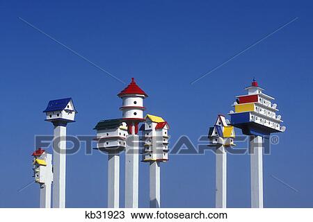 Colorful Painted Martin Birdhouse Kill Devil Hills Nc View Large Photo Image Stock Image - Colorful Painted Martin Birdhouse Kill Devil Hills Nc . Fotosearch