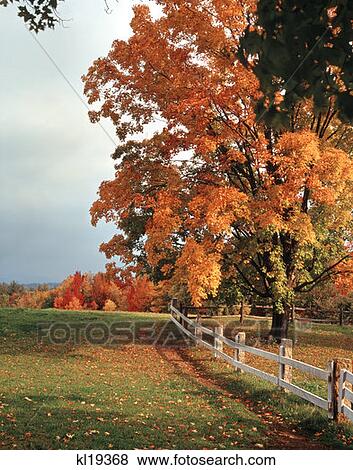 Stock Photo - Conway New Hampshire . Fotosearch