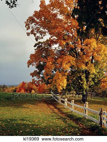 Conway, New Hampshire View Large Photo Image Stock Photo - Conway, New Hampshire. Fotosearch