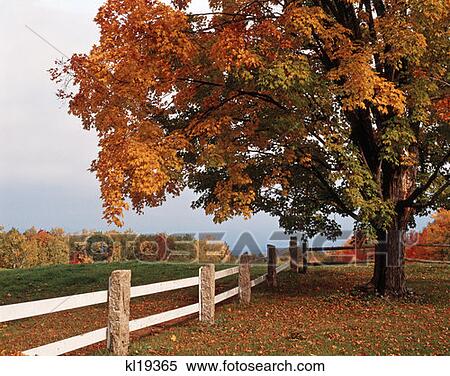 Conway New Hampshire View Large Photo Image Stock Photography - Conway New Hampshire . Fotosearch