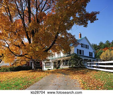 Picture - Country Farmhouse Home In Autumn Eaton Nh. Fotosearch