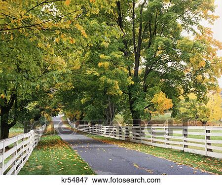 Country Road Early Autumn Orford Nh View Large Photo Image Stock Photo - Country Road Early Autumn Orford Nh. Fotosearch