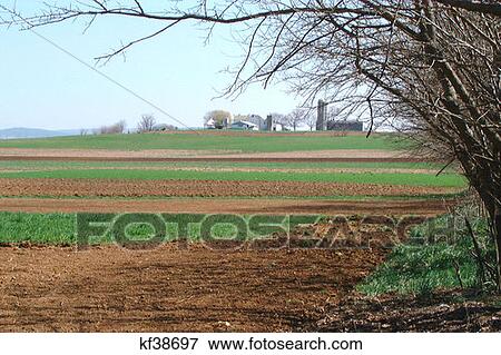Countryside Farm Scenic Intercourse Pa View Large Photo Image Stock Photo - Countryside Farm Scenic Intercourse Pa . Fotosearch