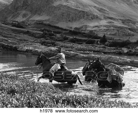 Cowboy Wearing Angora Chaps Crossing A Stream Leading Two Pack Horses Loaded With Equipment Baker Lake Alberta Canada View Large Photo Image Stock Photo - Cowboy Wearing Angora Chaps Crossing A Stream Leading Two Pack Horses Loaded With Equipment Baker Lake Alberta Canada . Fotosearch