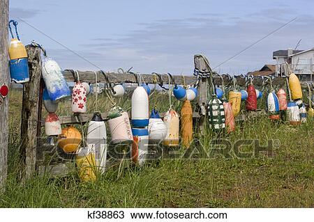 Crab Floats On Fence View Large Photo Image Stock Image - Crab Floats On Fence . Fotosearch