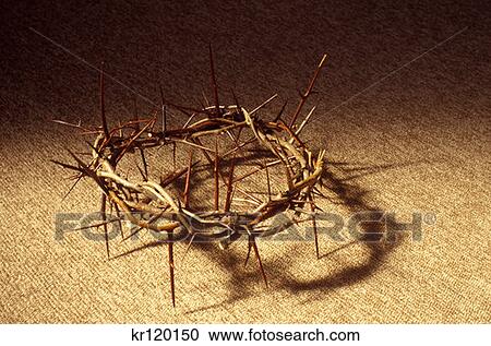 Stock Image - Crown Of Thorns . Fotosearch