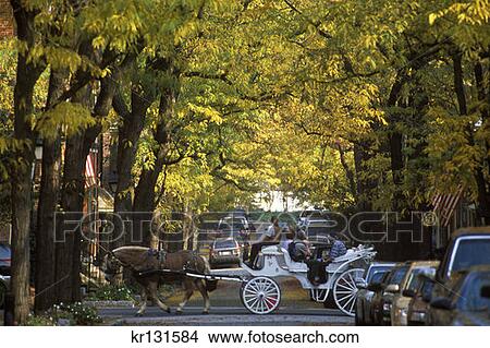Picture - Delancey Street Society Hill. Fotosearch