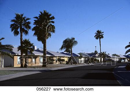 Stock Photo - Desert Forest Circle Sun City Arizona. Fotosearch