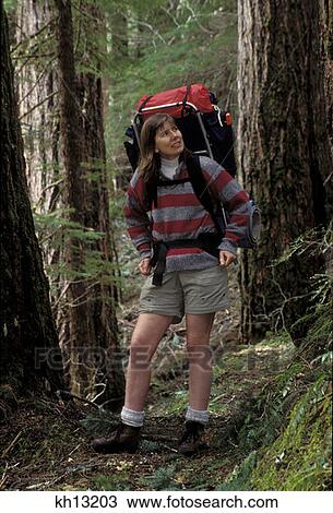 Dickey Creek Trail Woman Hiker Lost Bull Of The Woods Wilderness Mount Hood National Forest Oregon View Large Photo Image Stock Image - Dickey Creek Trail Woman Hiker Lost Bull Of The Woods Wilderness Mount Hood National Forest Oregon . Fotosearch