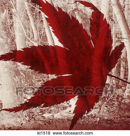 Stock Photo - Digital Composite Of Red Autumn Leaf Over A Scene Of Trees. Fotosearch
