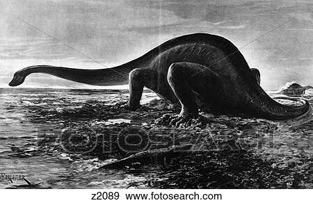 Stock Photo - Drawing Of Gigantosaurus By A. Forestier Dinosaur Reptile Quadraped Great Lizard Of Tendagoroo Mezosoic . Fotosearch
