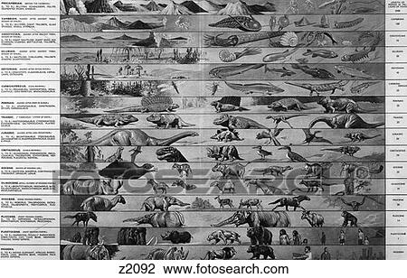 Stock Image - Drawing Of Time Line Of Evolution Of Life From Precambrian Jellyfish To Man Homo Sapiens . Fotosearch