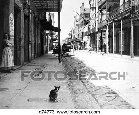 Stock Image - Early 1900S Cat Sitting Street Older Section Of New Orleans Louisiana Retro. Fotosearch