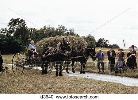 Farmers Central France Old Fashioned Methods Horse Drawn Hay Wagon Peasants In Field Harvest Men Women View Large Photo Image Stock Image - Farmers Central France Old Fashioned Methods Horse Drawn Hay Wagon Peasants In Field Harvest Men Women. Fotosearch