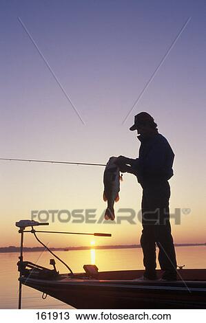 Fisherman Holding Largemouth Bass View Large Photo Image Stock Image - Fisherman Holding Largemouth Bass . Fotosearch