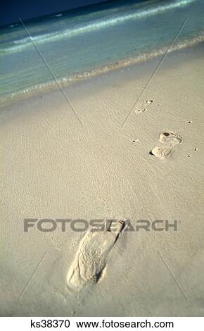 Footprints On A Caribbean Beach Riviera Maya, Mexico View Large Photo Image Stock Image - Footprints On A Caribbean Beach Riviera Maya, Mexico. Fotosearch