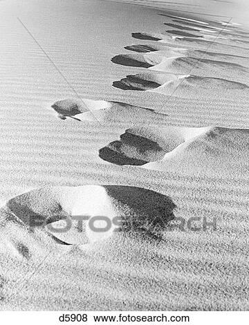 Footsteps In Sand Dunes View Large Photo Image Stock Photo - Footsteps In Sand Dunes . Fotosearch