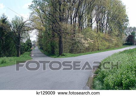Stock Photo - Fork In Country Road Two Paths . Fotosearch