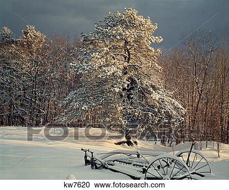 Fresh Snow Fall On Trees Field With Old Farm Machinery Foreground Winter Scenic New England View Large Photo Image Stock Image - Fresh Snow Fall On Trees Field With Old Farm Machinery Foreground Winter Scenic New England . Fotosearch
