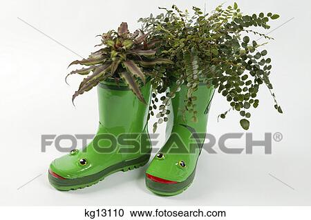 Stock Image - Frog Faced Green Galoshes With Plants. Fotosearch