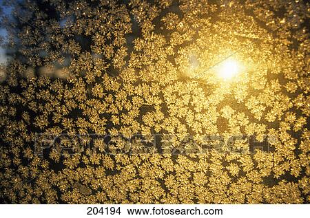 Picture - Frost On Window. Fotosearch