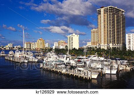 Ft. Lauderdale Fl Boats In Harbor View Large Photo Image Stock Photo - Ft. Lauderdale Fl Boats In Harbor . Fotosearch