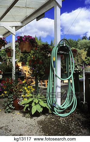Stock Photo - Garden Hose Greenhouse Plants Flowers . Fotosearch