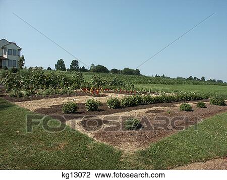 Garden Plot By House Lancaster Pa  View Large Photo Image Stock Image - Garden Plot By House Lancaster Pa . Fotosearch