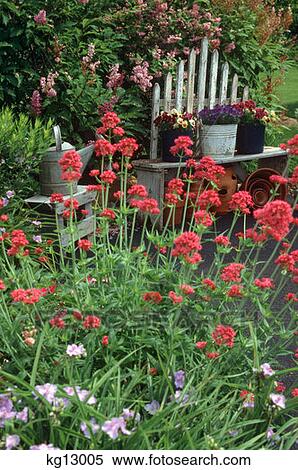 Stock Photography - Garden With Flowerpots On Bench . Fotosearch