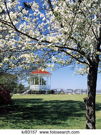 Gazebo Natchez Mississippi View Large Photo Image Stock Photo - Gazebo Natchez Mississippi . Fotosearch