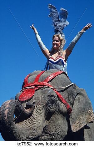 Girl Riding Elephant View Large Photo Image Stock Image - Girl Riding Elephant . Fotosearch