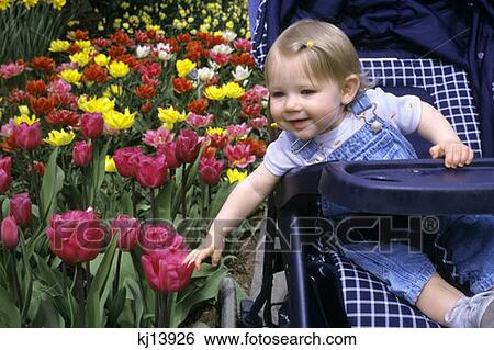 Stock Photograph - Girl Tulip Garden Laconner Washington Stroller Smile Happy . Fotosearch