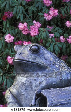 Stock Photography - Goldiwarts Belleview Botanical Garden Bellevue . Fotosearch