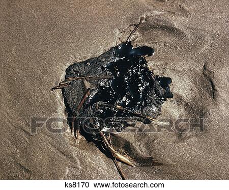 Stock Image - Grand Island State Park Louisiana Gulf Of Mexico Oil Slick Tar Pollution On Beach. Fotosearch