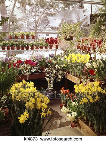 Greenhouse Interior View Large Photo Image Stock Image - Greenhouse Interior. Fotosearch