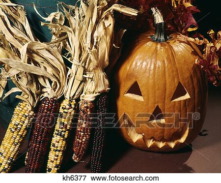 Halloween Pumpkin Jack O' Lantern Jack-O-Lantern Bundle Dried Indian Corn View Large Photo Image Stock Photo - Halloween Pumpkin Jack O' Lantern Jack-O-Lantern Bundle Dried Indian Corn . Fotosearch