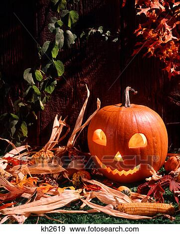 Halloween Pumpkin View Large Photo Image Stock Photo - Halloween Pumpkin. Fotosearch