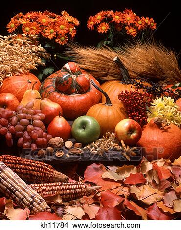 Picture - Harvest Fruits Grains Autumn Leaves . Fotosearch