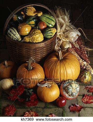 Harvest Scene View Large Photo Image Stock Photo - Harvest Scene. Fotosearch