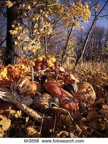 Stock Photograph - Harvest Still Life In Woods. Fotosearch