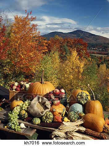 Harvest Still Life View Large Photo Image Stock Photograph - Harvest Still Life. Fotosearch