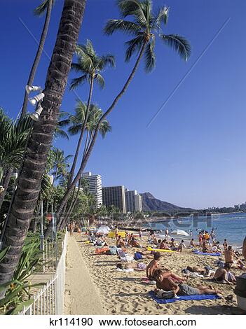 Honolulu Oahu Hawaii Beach At Waikiki View Large Photo Image Stock Image - Honolulu Oahu Hawaii Beach At Waikiki . Fotosearch